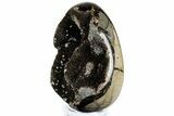 Septarian Dragon Egg Geode - Sparkly Black Crystals #308805-2